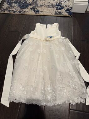 Jamberry White Cream Floral Tulle Flower Girl Dress with Blue Accent